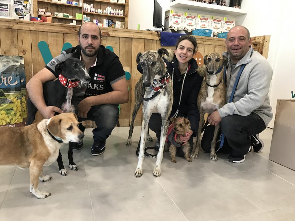 Hugo (en el centro) es uno de los primeros galgos adoptados a través de 'Subo que te llevo' y procedente de Azar Zaragoza.