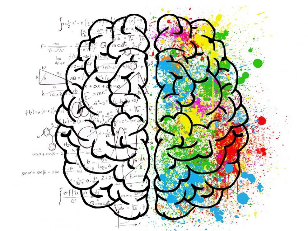 El cerebro tiene género.