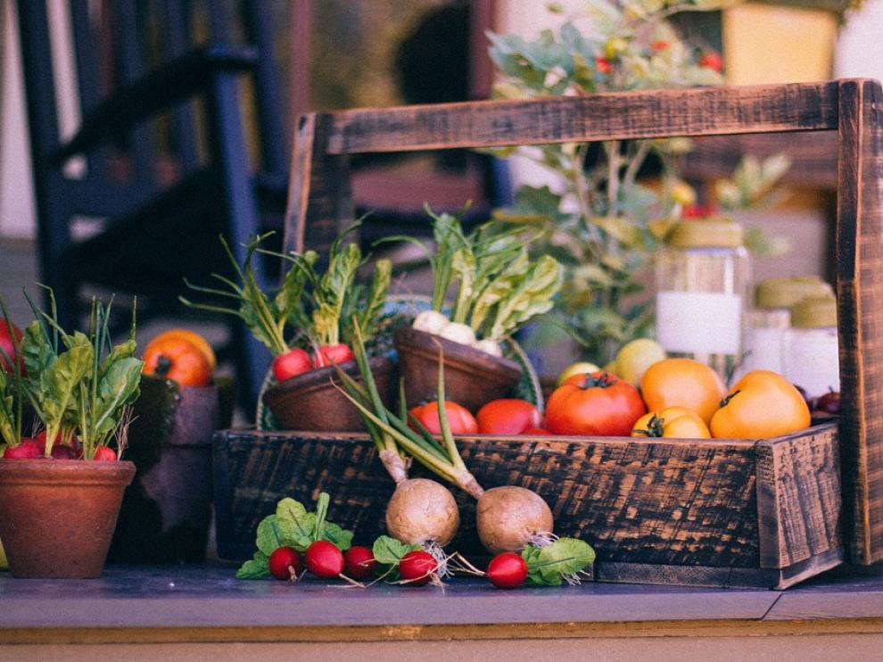 Cinco verduras para cultivar con éxito en casa