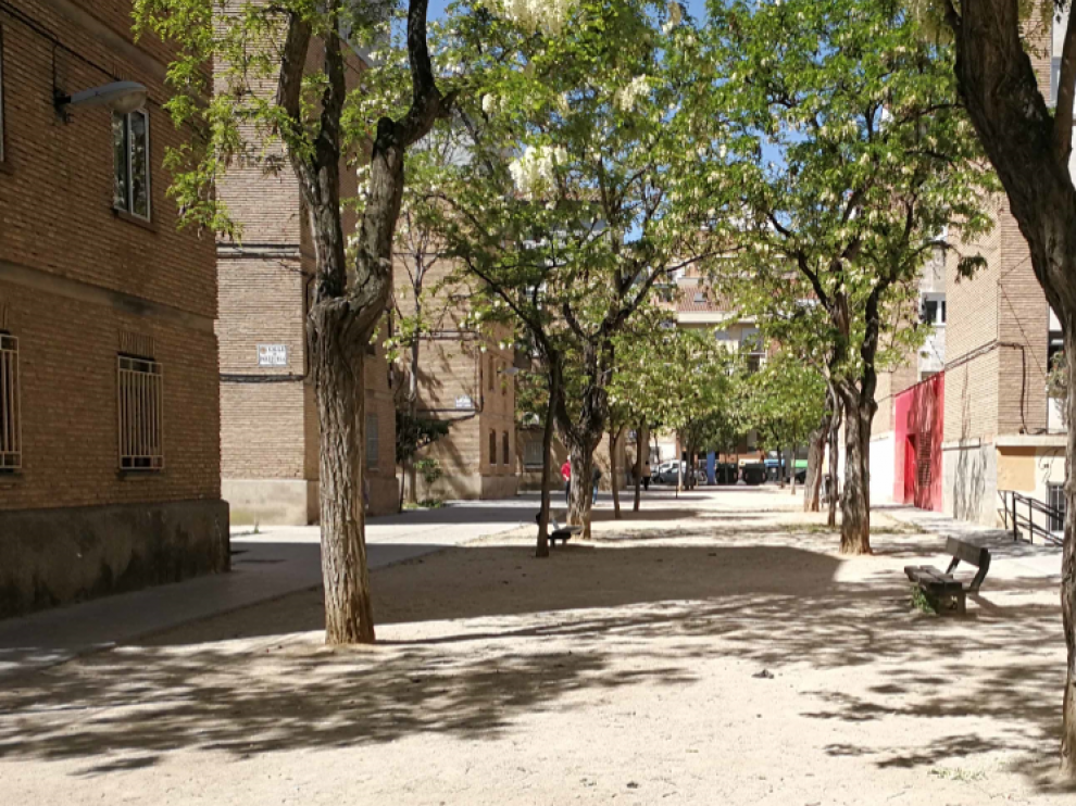 Excrementos en la zona entre los pabellones del Tío Jorge, en frente de la plaza de la Memoria Histórica.