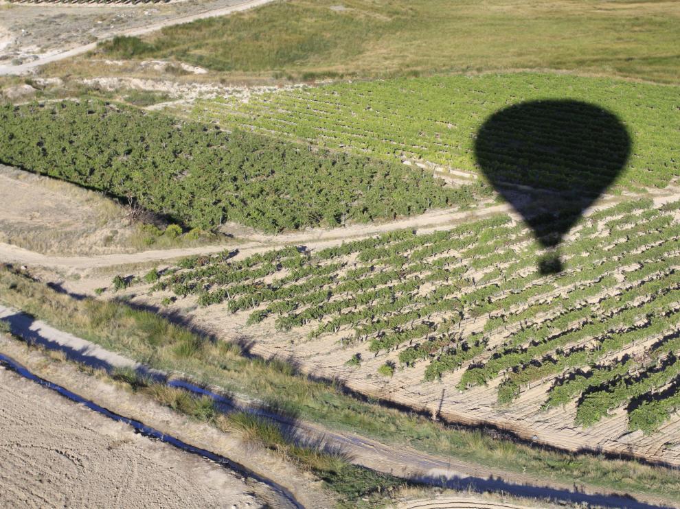 Los viñedos se pueden descubrir a pie, en bicicleta, a caballo e, incluso, desde las alturas en globo aerostático.