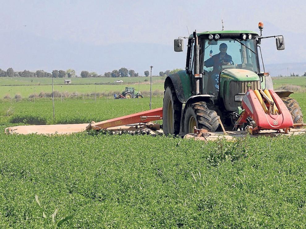 Corte de alfalfa en una finca situada en el municipio oscense de Albero Bajo.