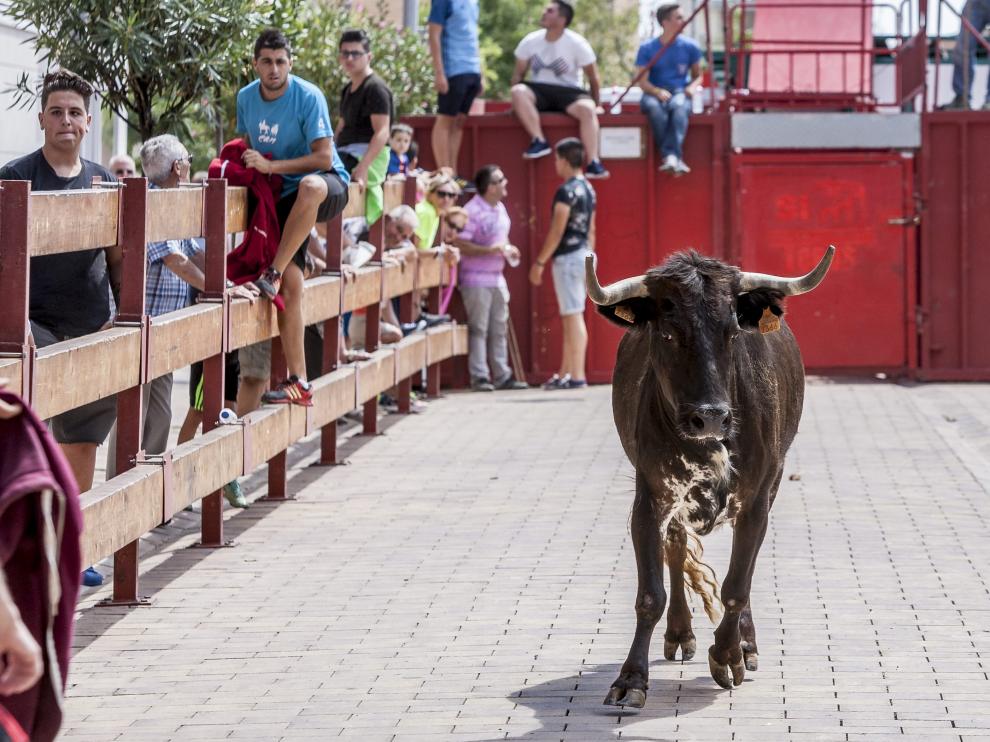 Tarde de vaquillas en las calles de Utebo.