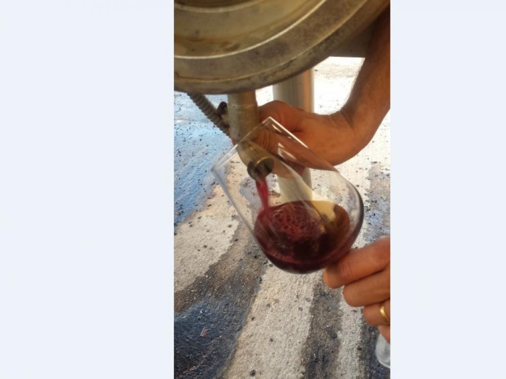 Vino ecológico y sin sulfitos añadidos