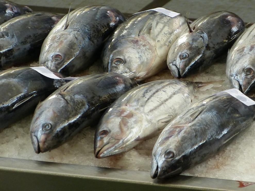 Atún fresco en una pescadería.