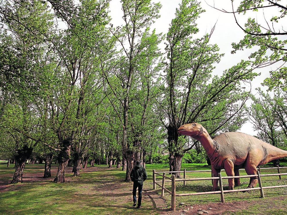 Bosque de chopos cabeceros del futuro parque cultural en Galve con una réplica de Iguanodón.