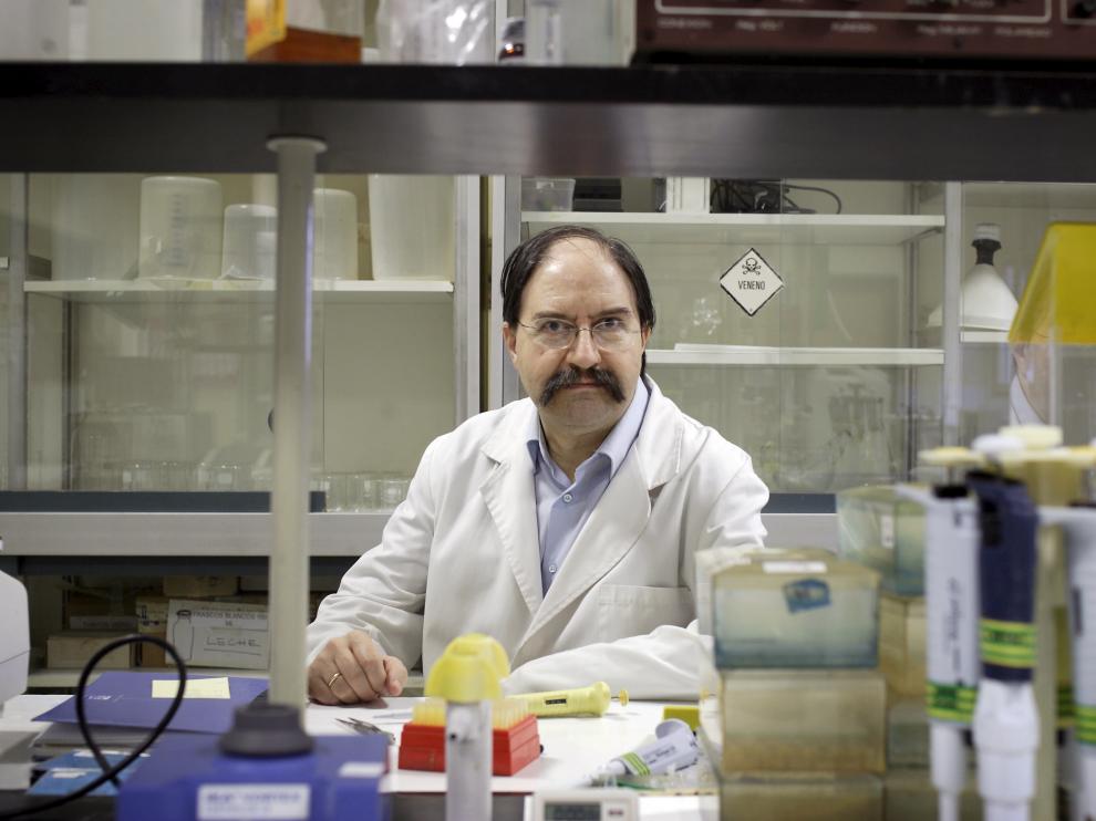 El catedrático de Tecnología de los Alimentos Miguel Calvo, en la Facultad de Veterinaria de la Universidad de Zaragoza.