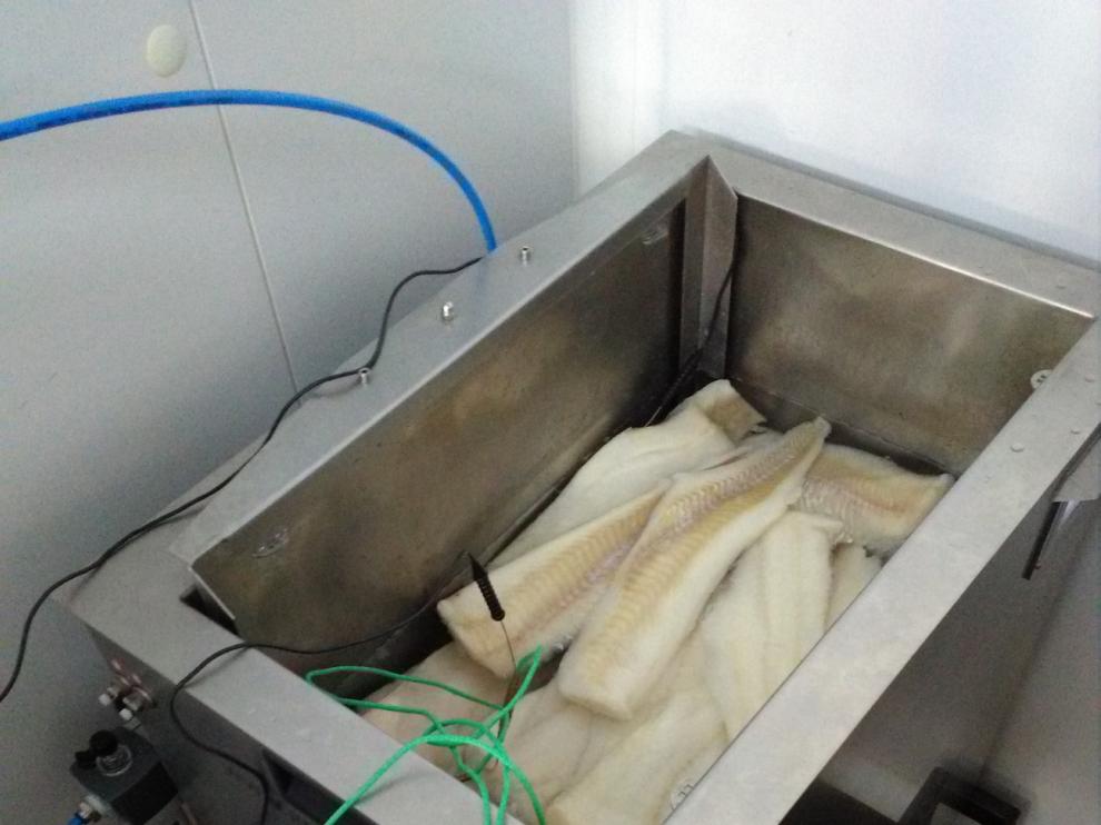Prototipo del equipo de ultrasonidos desarrollado por el grupo de investigación A20 de la Universidad de Zaragoza utilizado para el procesado de filetes de pescado con el fin de reducir su carga microbiana y prolongar su vida útil