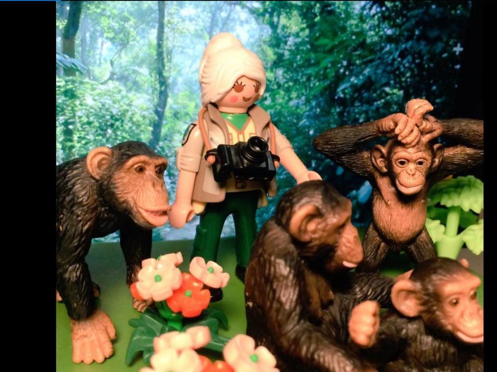 Jane Goodall, de juguete.