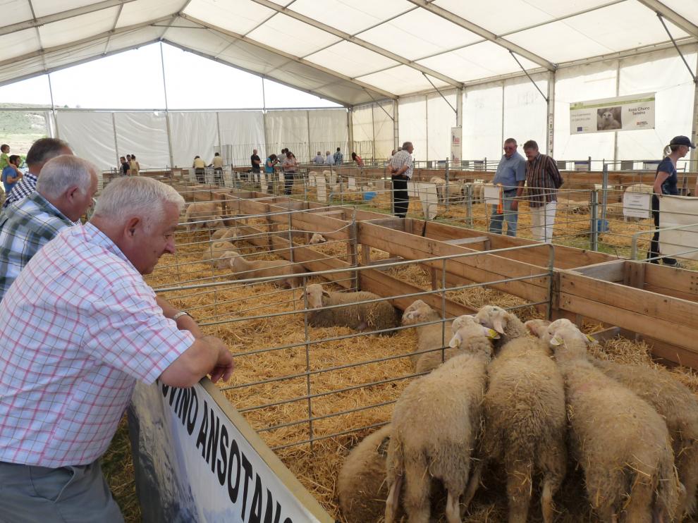 Feria Expoforga 2016.