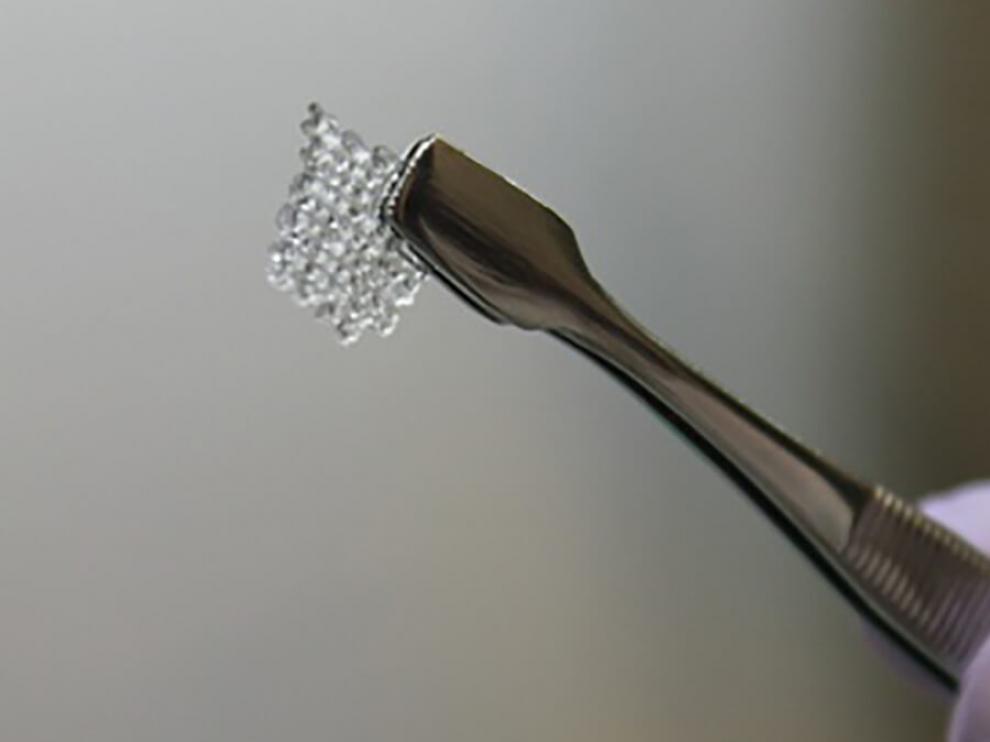Científicos estadounidenses han creado una bioprótesis de ovario impresa en 3D