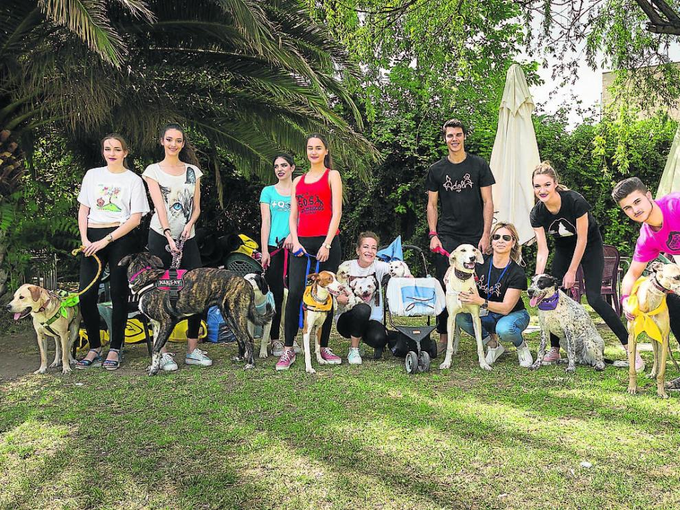 Los perros protagonistas del desfile, junto a los modelos que los acompañaron sobre la pasarela.