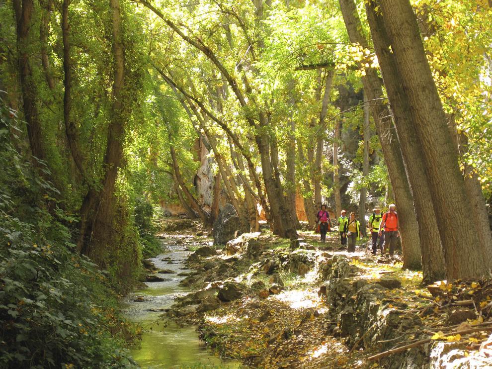 Senderistas junto al río Mesa, entre Calmarza y Jaraba (GR 24).