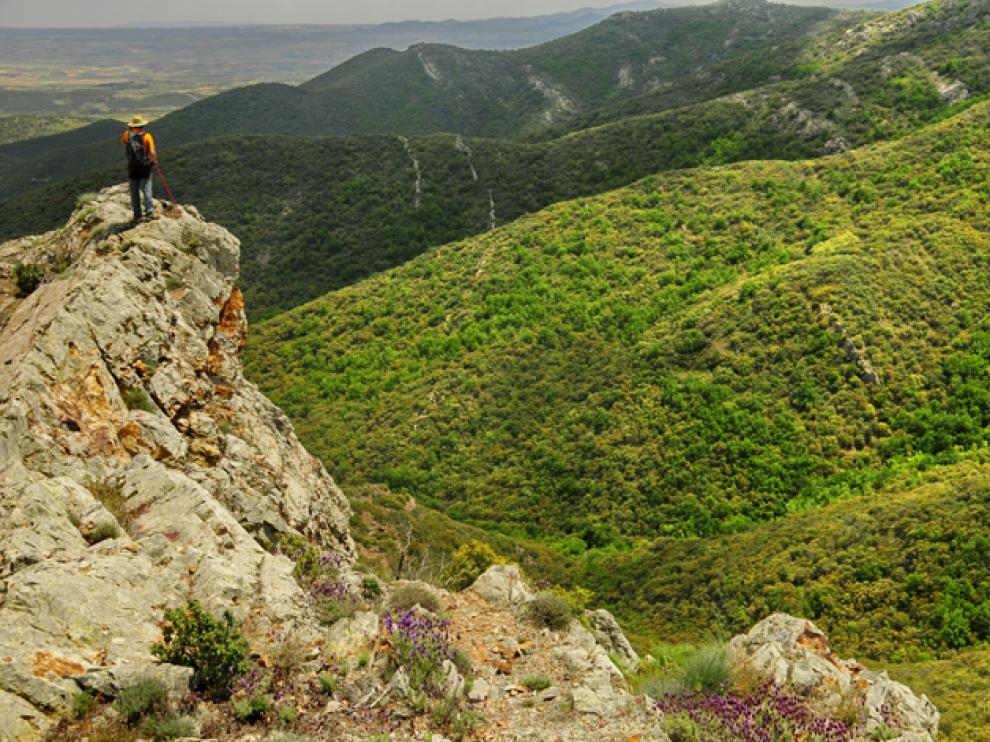 Mirador sobre los barrancos de Cosuenda, en la sierra de Algairén.