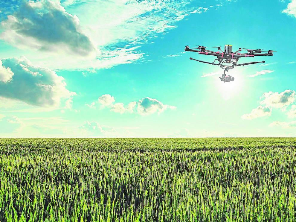 Un dron de la empresa sobrevuela un campo de cereal en las Cinco Villas.