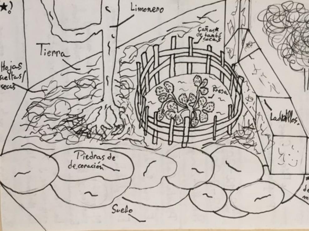 Dibujo de la ubicación de una planta de fresas participante en el proyecto 'Vigilantes del cierzo'.