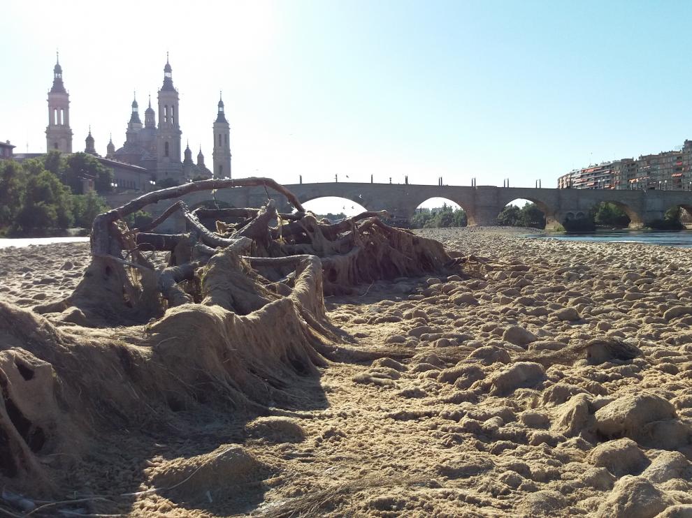 El caudal del Ebro en Zaragoza, por debajo del nivel preventivo