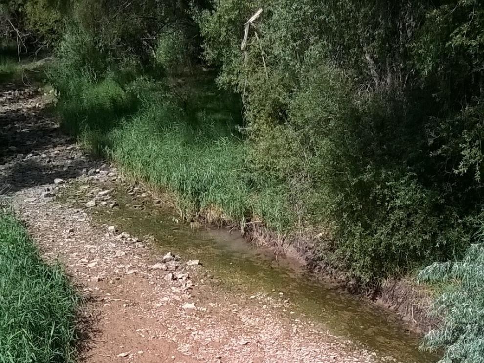 Sequía en la cuenca del Ebro.
