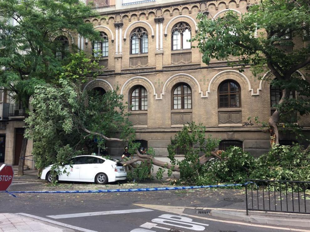 La mitad de un árbol se desploma sobre un taxi en la plaza de Salamero.