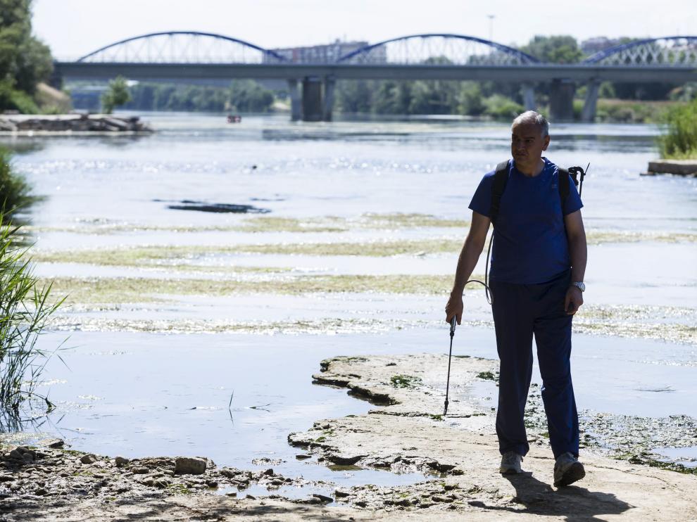 Los tratamientos en el Ebro contra la mosca negra comenzaron a mediados de mayo.