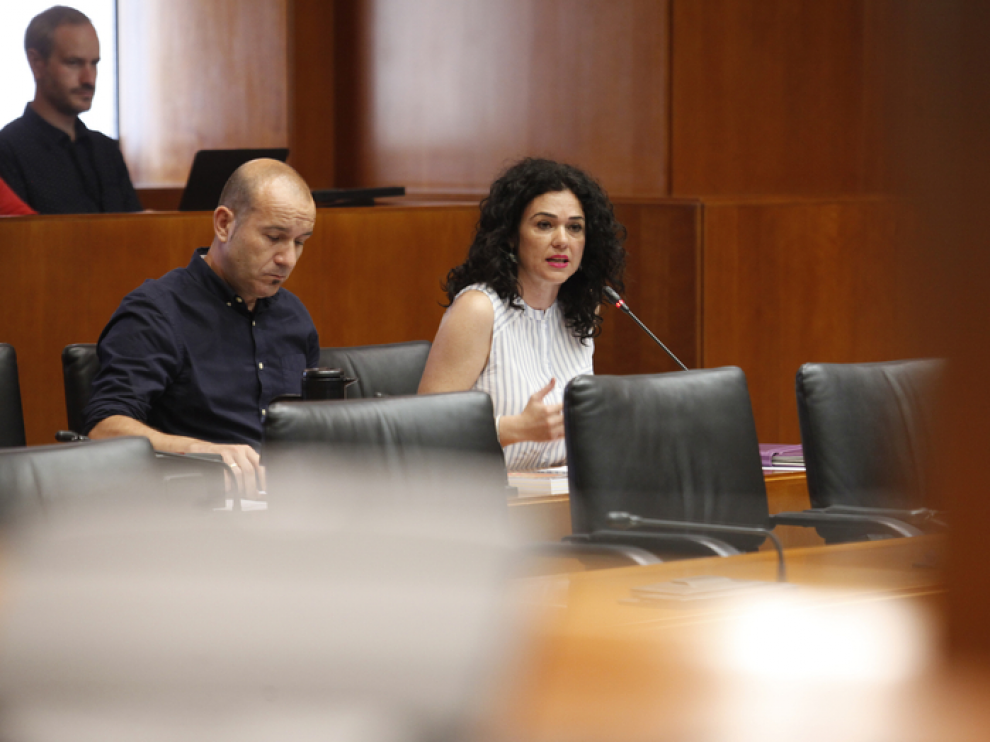 La portavoz de Podemos en la comisión de educación, Erika Sanz.