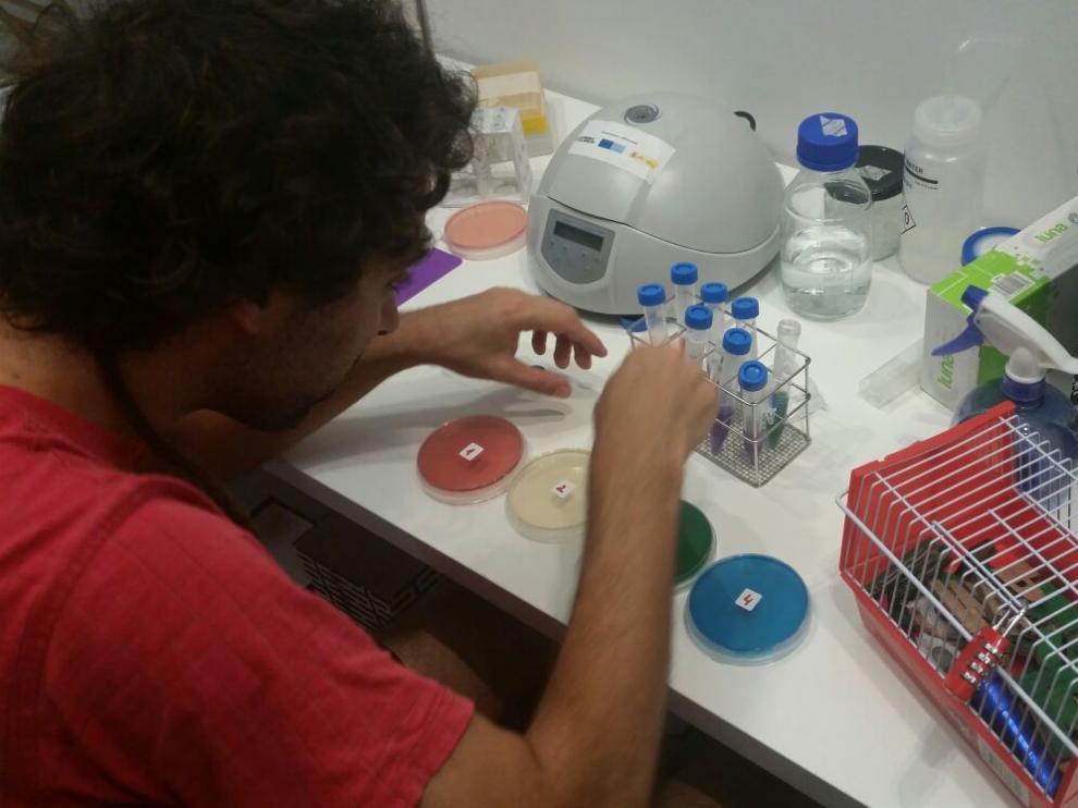 Wetlab, laboratorio en Etopía.
