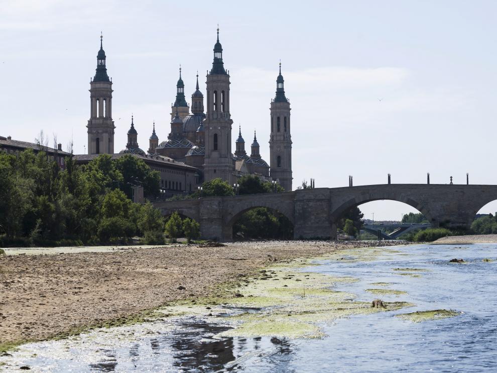 El Ebro también se resiente por la ola de calor a su paso por Zaragoza