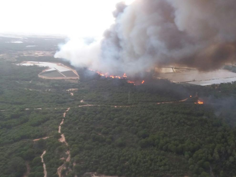 Incendio en el entorno de Doñana.