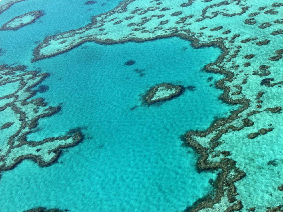 Gran Barrera de Coral de Australia.