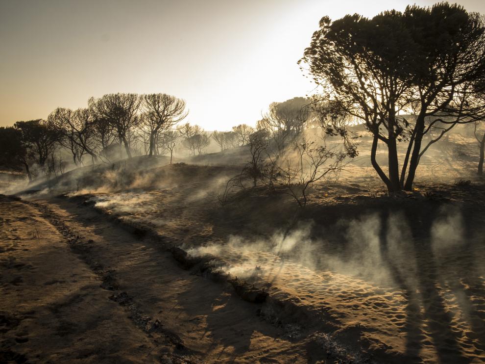 Una zona arrasada por el fuego cerca de Mazagón.