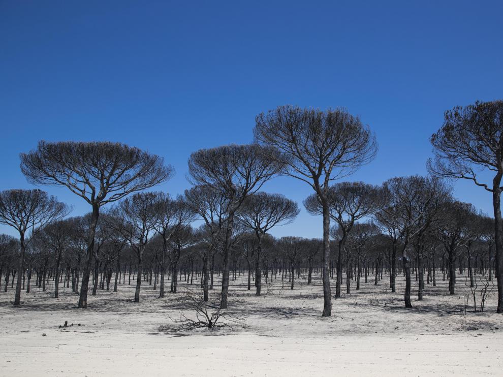 Zona afectada por el fuego.