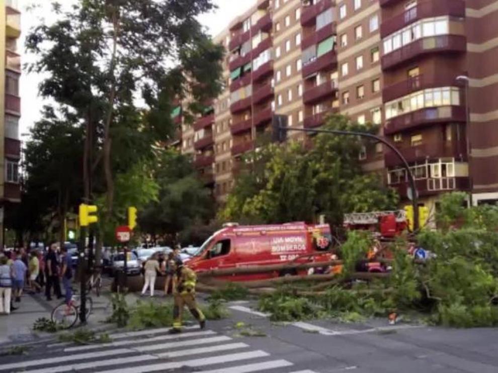 Una persona resultó herida este miércoles al caerle un árbol en Camino de las Torres.