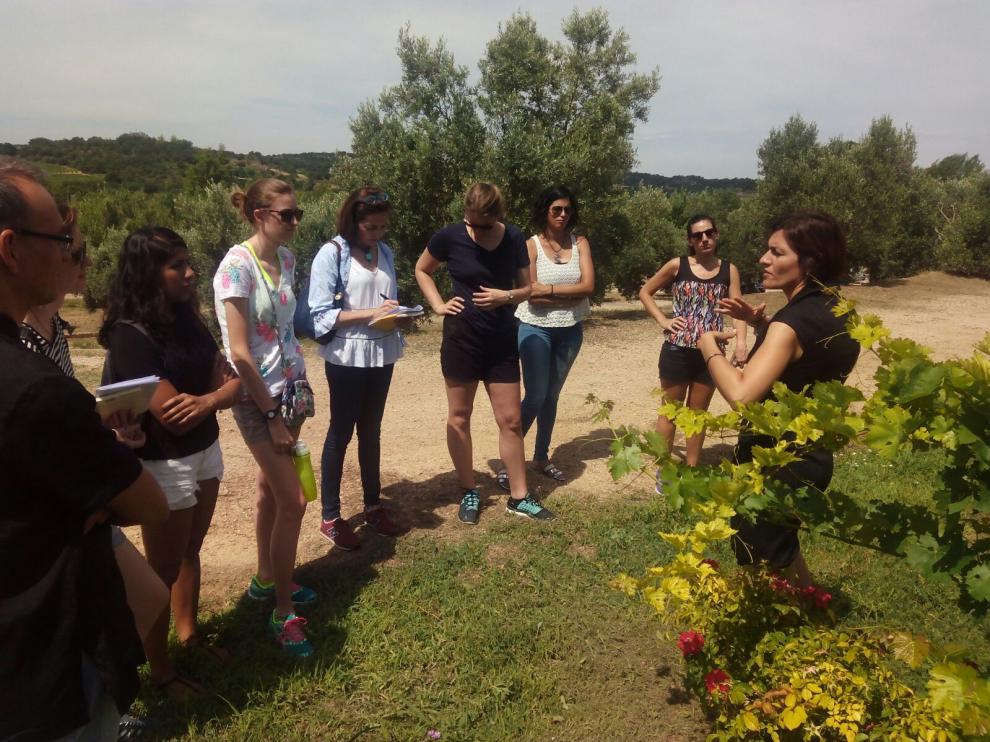 Los estudiantes durante su visita a bodega Blecua de Viñas del Vero.