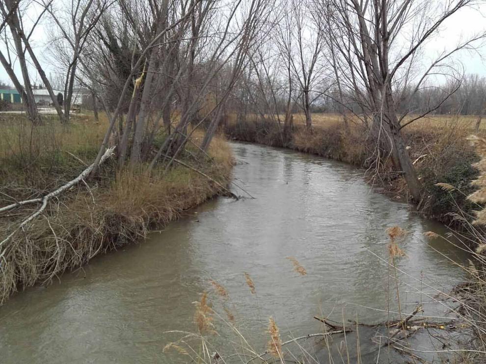 En los cauces del Jalón. Se han realizado hasta ahora 20 actuaciones de mantenimiento en los cauces del río Jalón a su paso por los términos municipales de Terrer, Sabiñán, Rueda de Jalón, Bárboles, Grisén, Lucena de Jalón, Torres de Berrellén, Épila, Pleitas, Alhama de Jalón, Salillas de Jalón, Calatayud (en la foto) y Alagón.