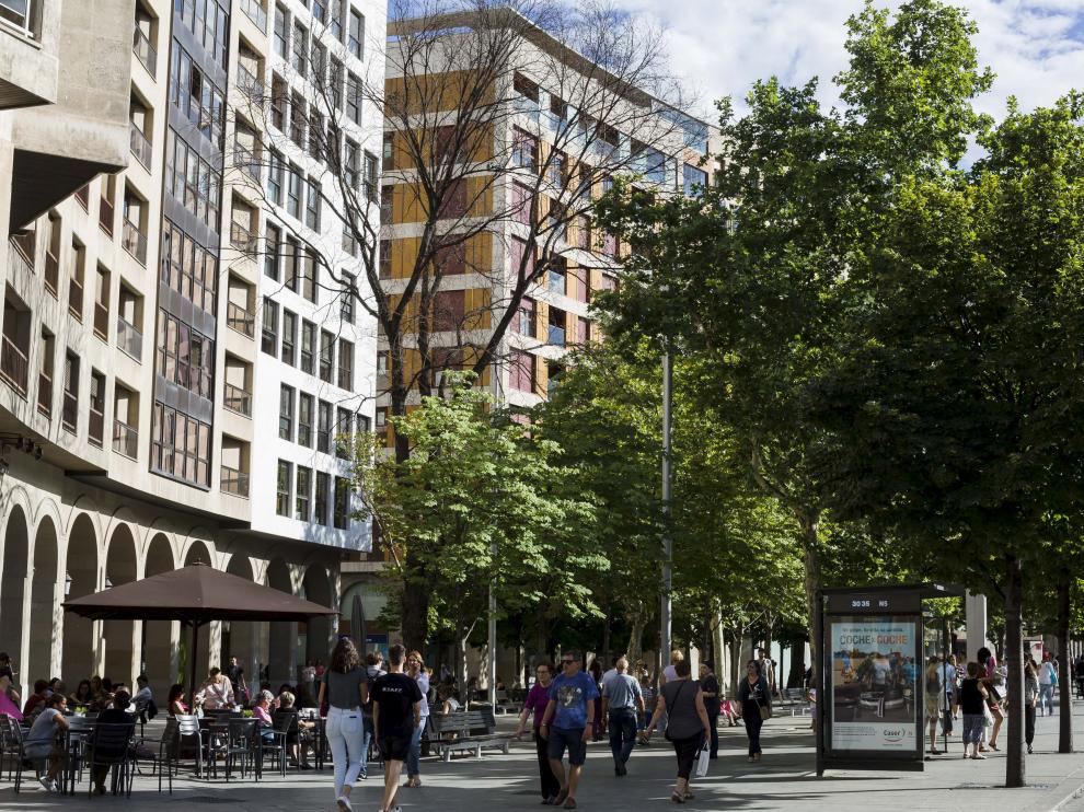 Ejemplares de gran porte. Vecinos de la zona Centro han advertido del aparente mal estado de este árbol de gran tamaño, ubicado en la plaza de Aragón, y han pedido al Ayuntamiento que garantice la seguridad.