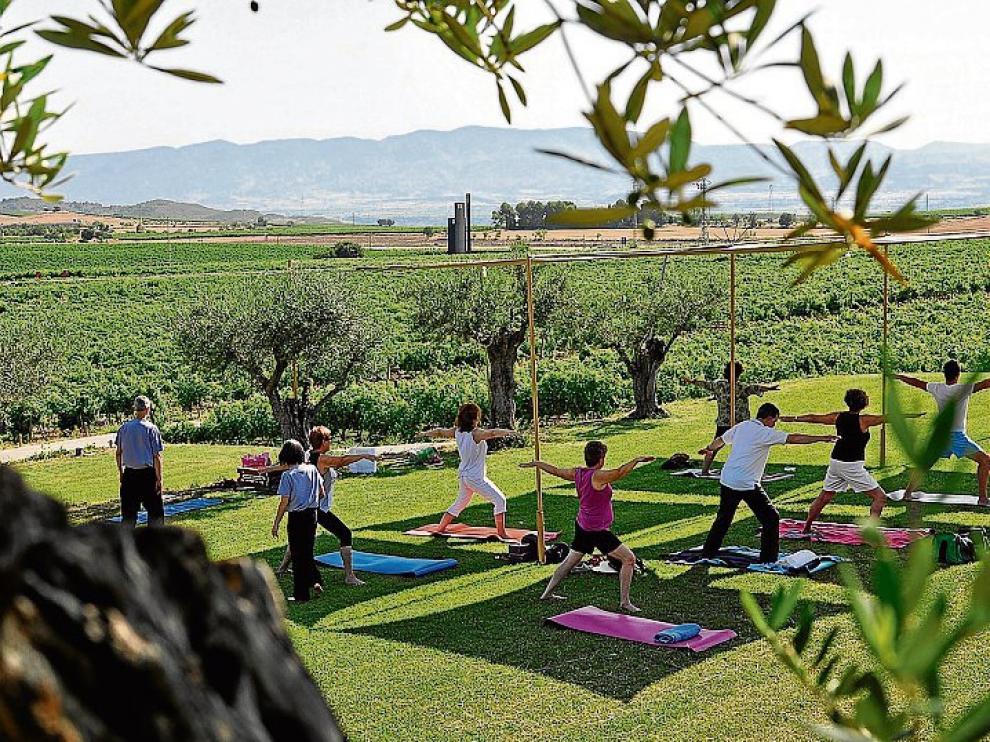 Un momento de la práctica de yoga junto a los viñedos.