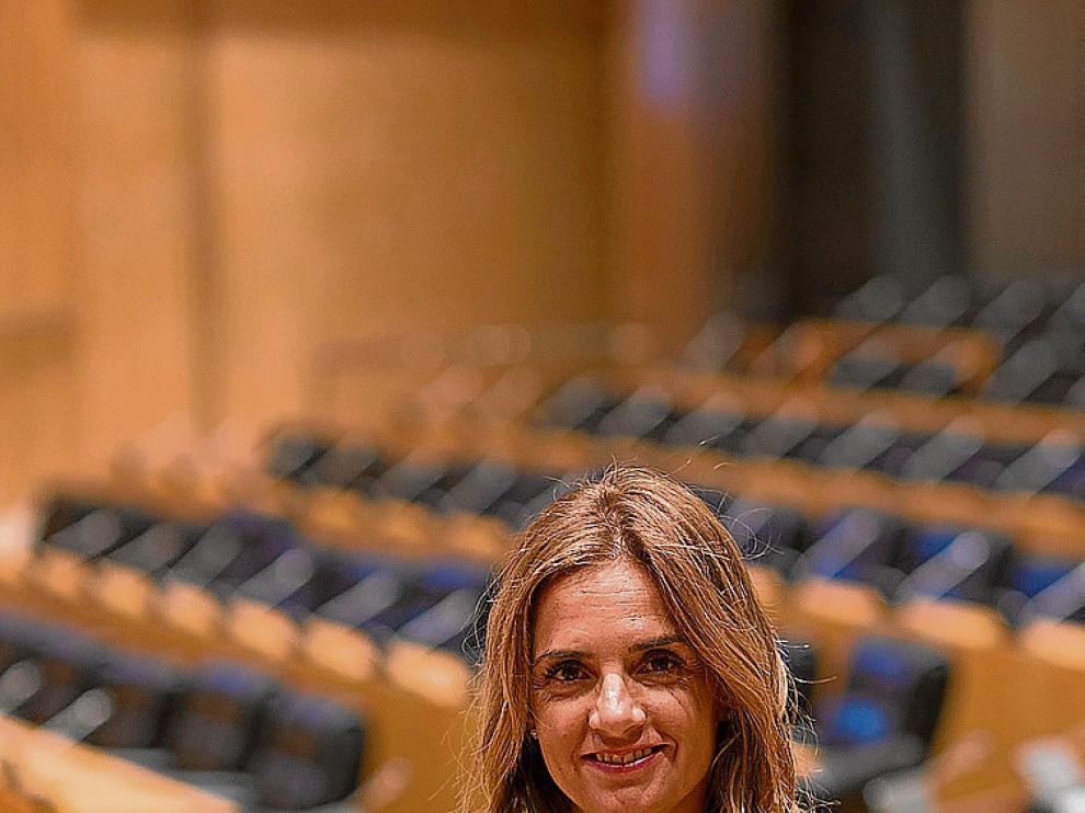 Sumelzo, en una sala de comisiones del Congreso.