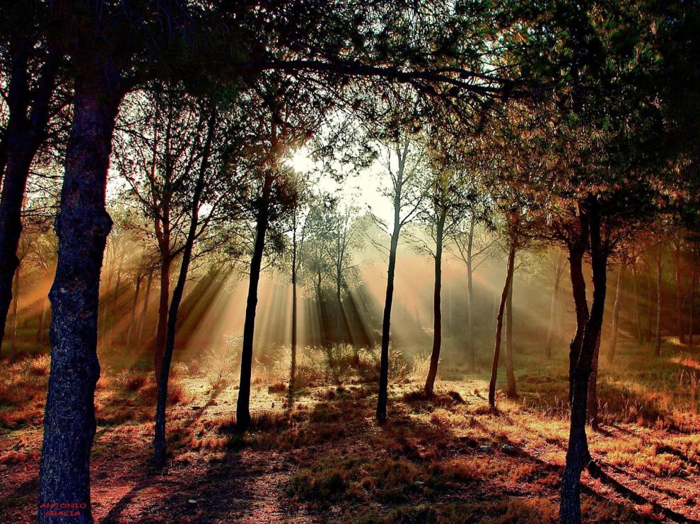 Imagen ganadora del último concurso de fotografías.