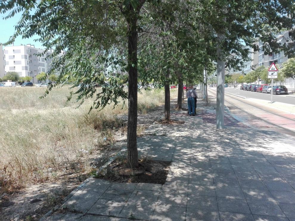 Árboles en Valdespartera
