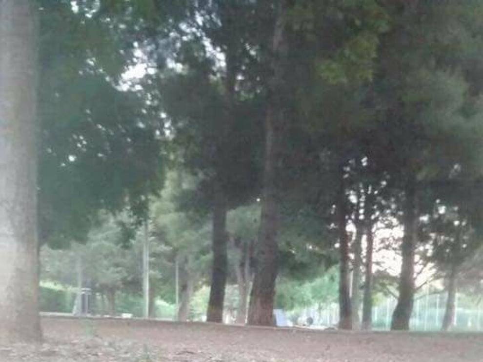 Una de las bolsas con raticida encontradas en Huesca.