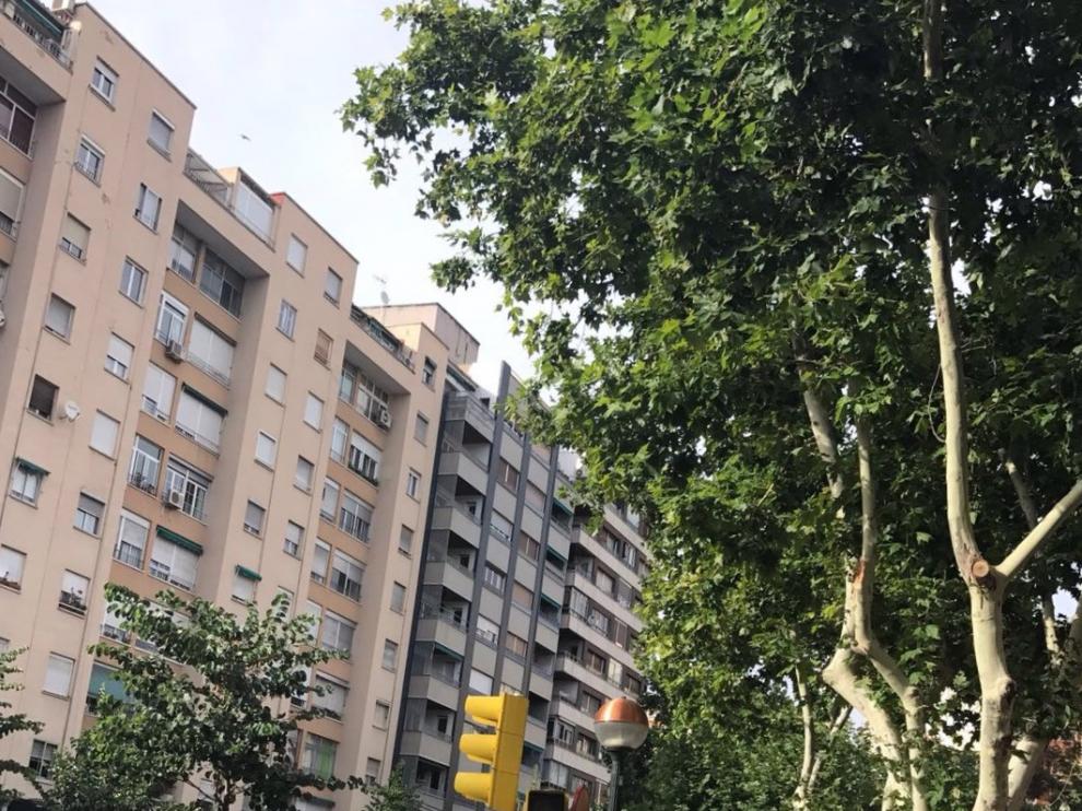 Una rama también ha caído este martes en la plaza de Diego Velázquez.