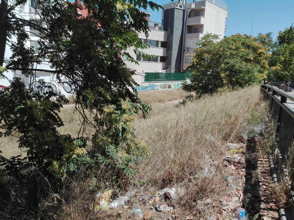 Basura y hierbajos, en el solar que hay al final de Tenor Fleta.