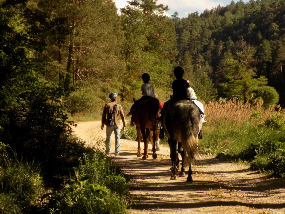 Niños en un paseo a caballo.