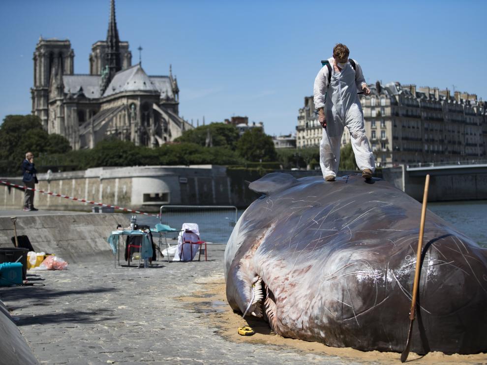 El grupo 'Captain Broomer', colocando la ballena en París