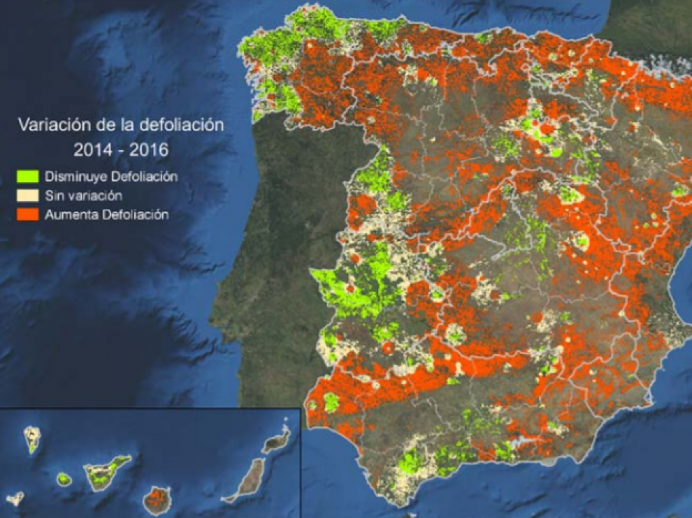 Mapa incluido en el último Inventario de Daños Forestales.