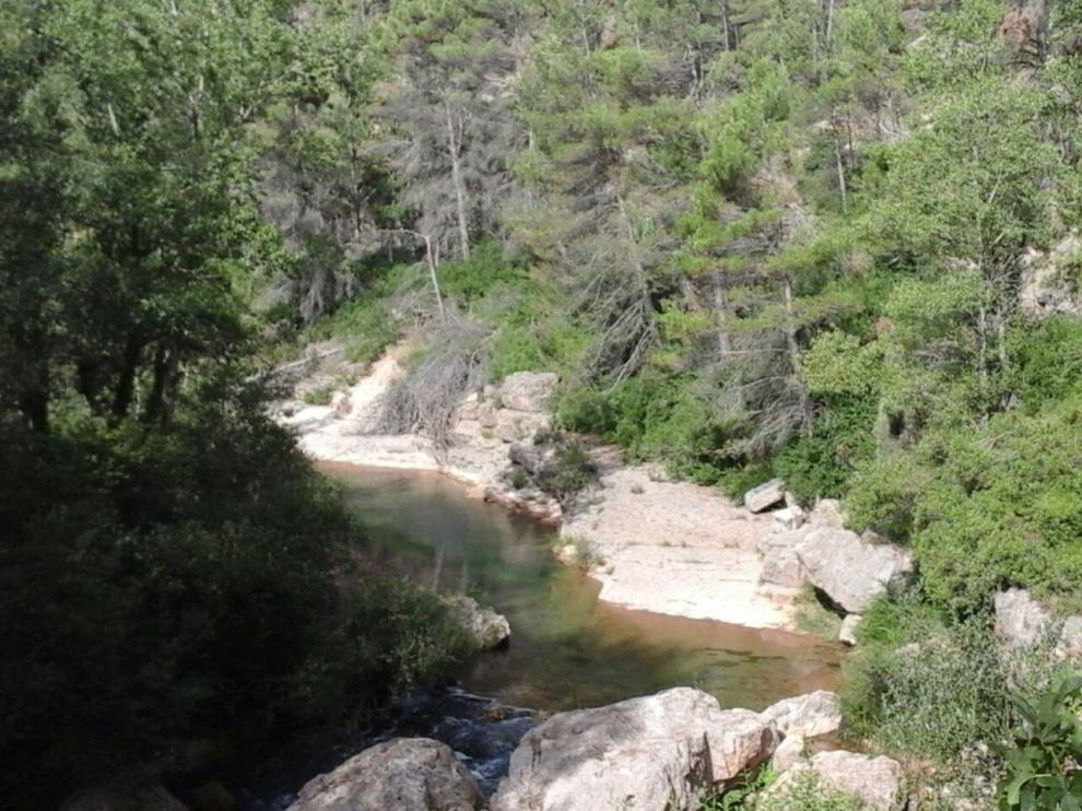 Poza junto al puente de El Cantal, muy frecuentada por bañistas, con numerosas ramas caídas.