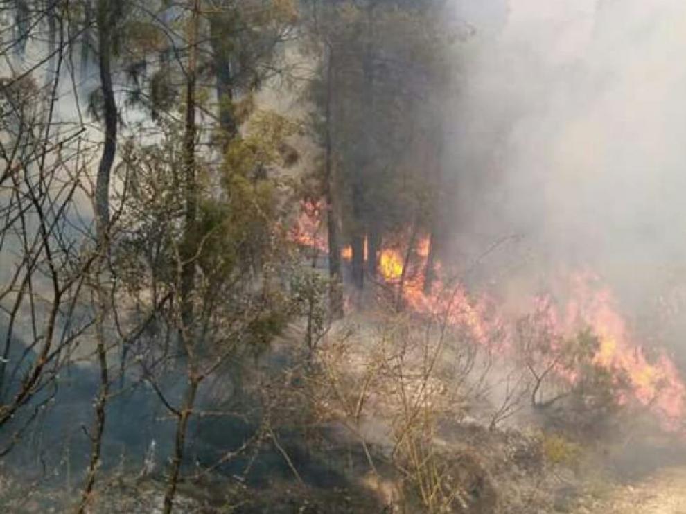 El incendio de Yeste ha quemado 100 hectáreas.