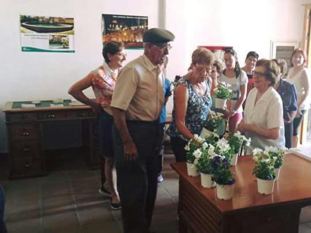 Los vecinos de Cedrillas recogen las flores repartidas por el Ayuntamiento de la localidad.
