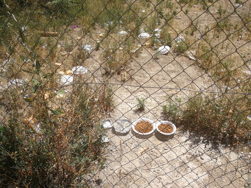 Varios solares de Torrero, un foco de suciedad y contaminación ambiental