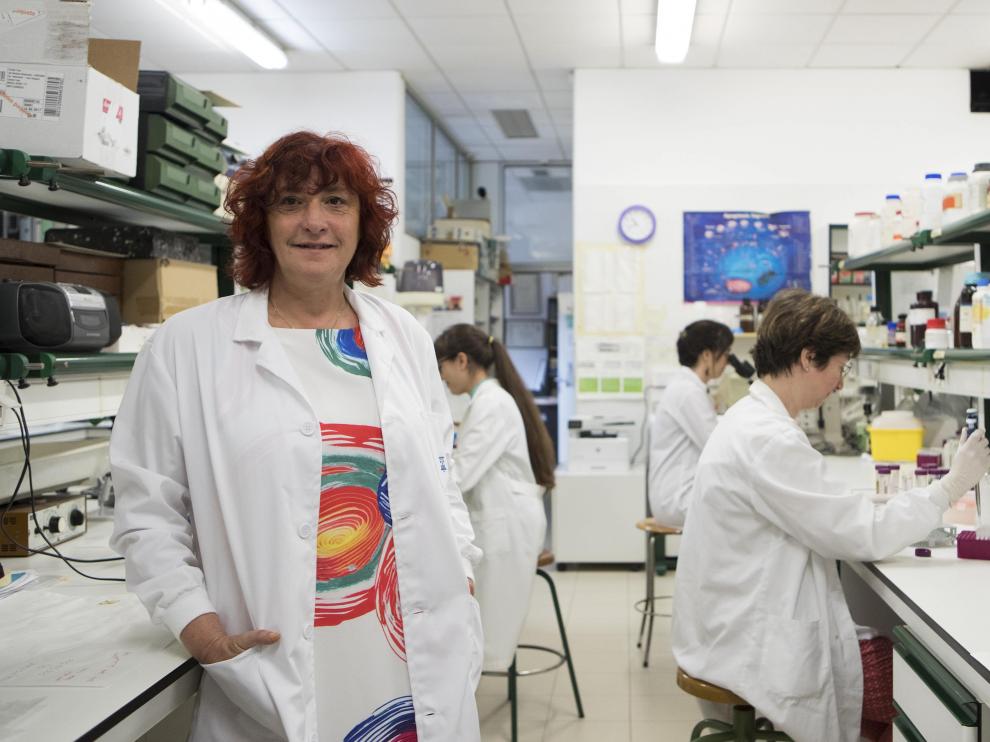 Rosario Osta, experta en Genética, pertenece al grupo Lagenbio del IA2 de la Universidad de Zaragoza.